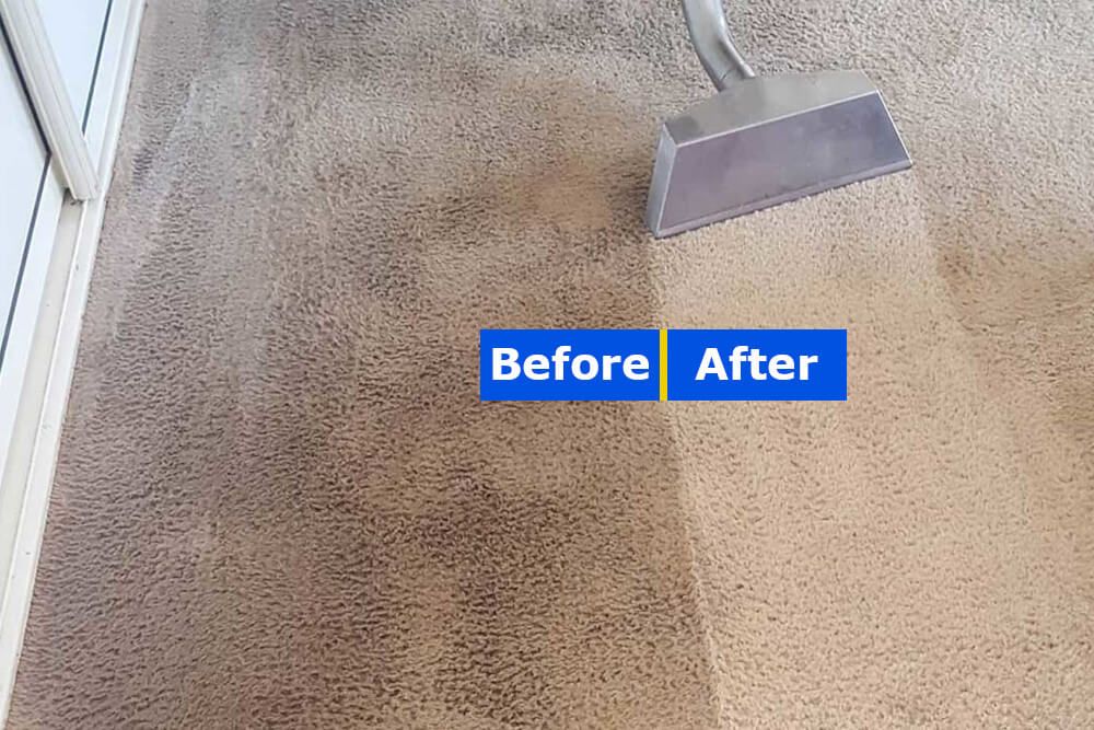 carpet Cleaning sydney