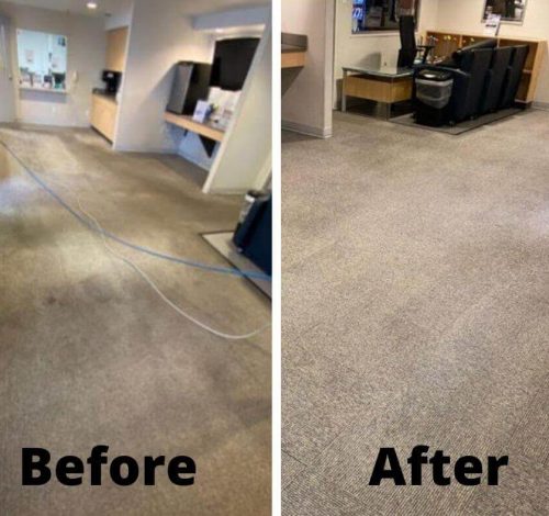 Top Best Expert professional carpet cleaning services near me Sydney Australia With Affordable chip low coast and prices